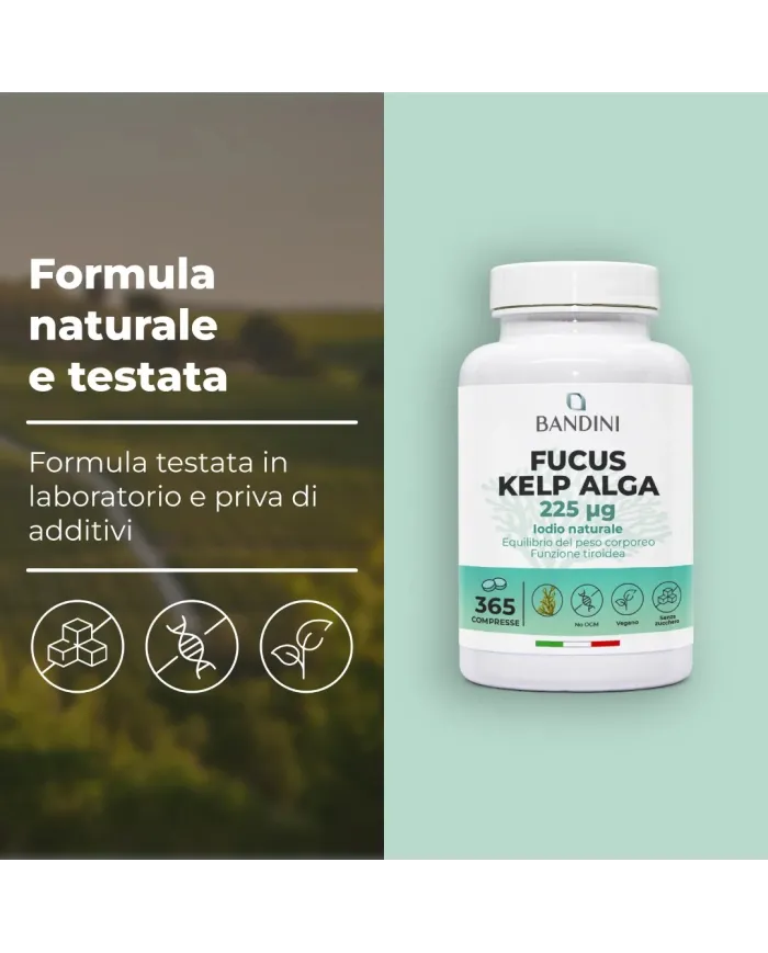 Fucus Kelp Algae 225mcg - 365 Compresse